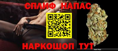 spice Малгобек