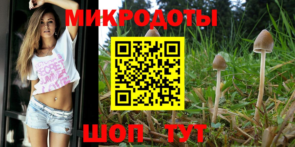 Галлюциногенные грибы MAGIC MUSHROOMS  Вход с VPN  Волжский 