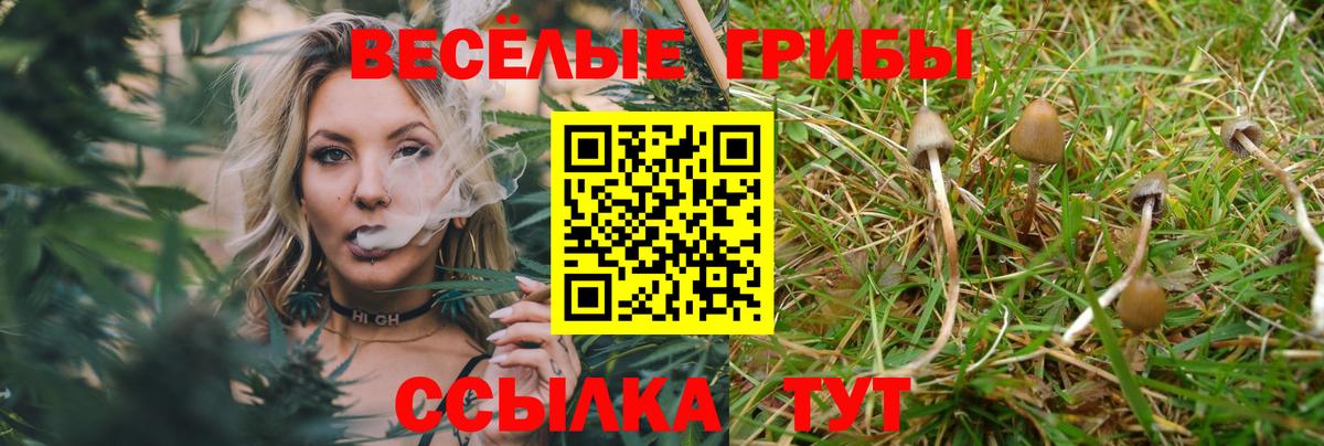 Псилоцибиновые грибы Cubensis Волжский